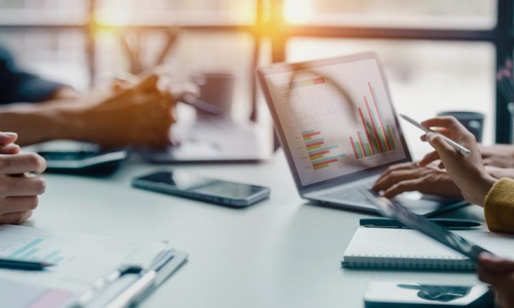 Website and Digital Marketing Studio - Long Established  [2507081]