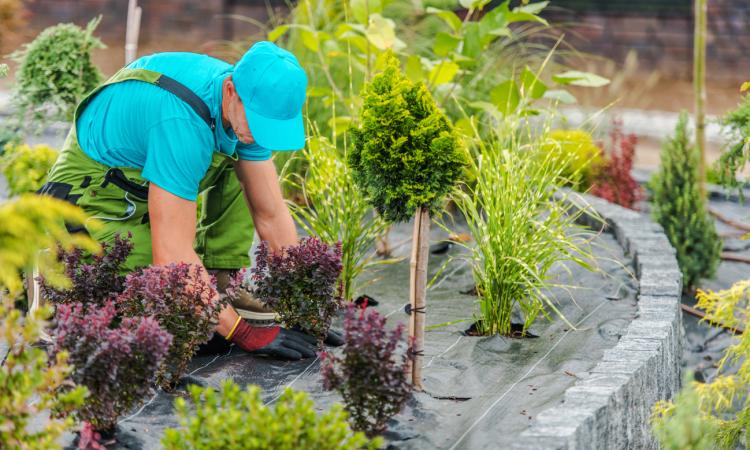 High-Earning Garden & Building Supplies Business – $30K+ Weekly Takings | Includes Vehicles & Stock | Located Near Berwick [2507083]