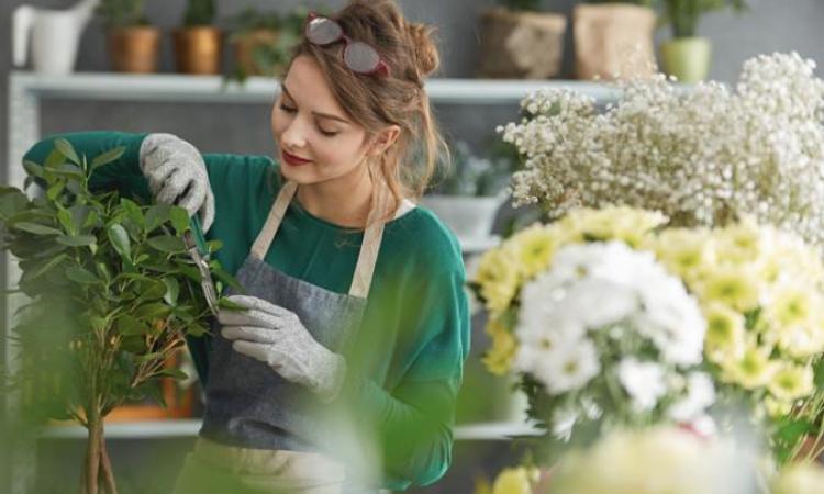 Perfect First Florist/Creative Retail Space – Prime St Kilda Location [2507071D]