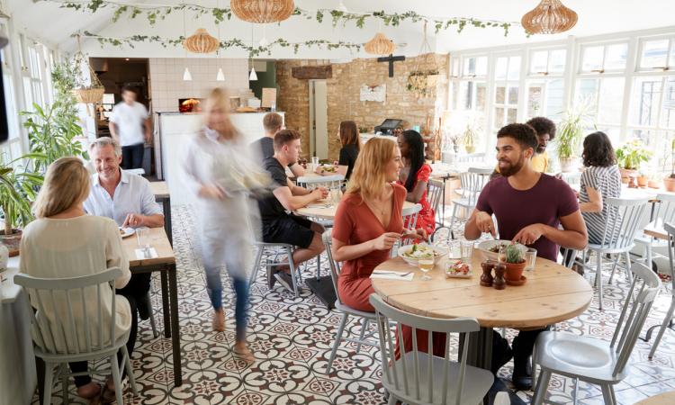 Popular and Only Cafe in the Area with Wine Bar, Woodfire Pizza and $29,000 Weekly Sales | [2510061]