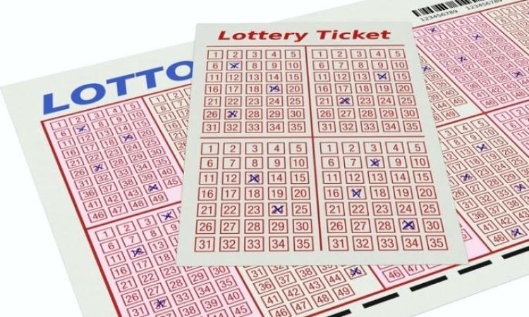 Premium Lotto, Newsagency & Licensed Post Office – High-Demand Essential Services Business [2601241]