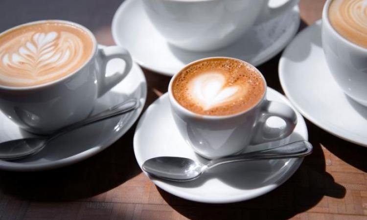 Industrial Café – Mon–Fri Only | Finish by 3PM | Strong Trade + Catering Contracts [2604221]