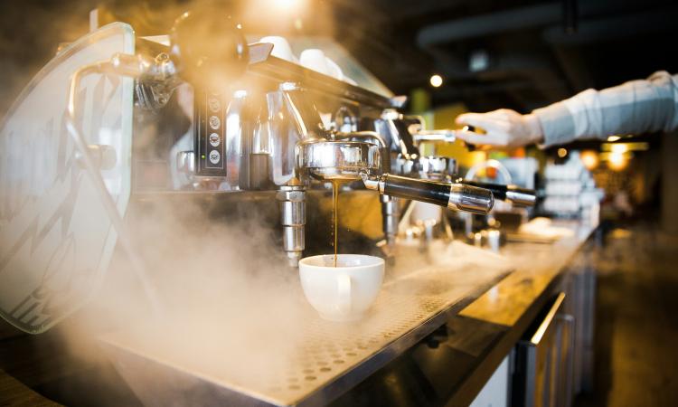 MODERN CAFÉ FOR SALE – CHATTEL SALE | PRIME BRIGHTON LOCATION [2604212]