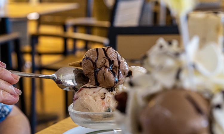 Prime Bayside Dessert, Ice Cream & Bubble Tea Business [2606042]