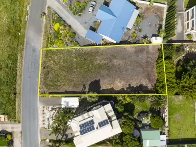 Lyndon L testimonial image