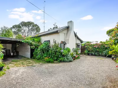 Robert B testimonial image