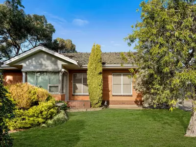 Maria D testimonial image