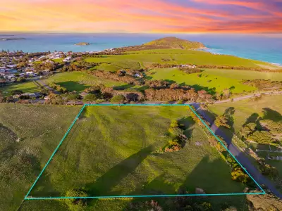 Josephine K testimonial image