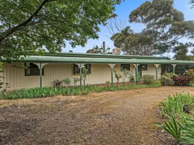 Tatiana P testimonial image