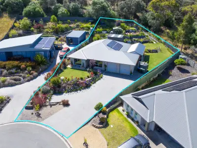 Paul N testimonial image