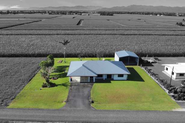 Your Dream Oasis Awaits: Modern Family Living at 202 Silky Oak Creek Rd