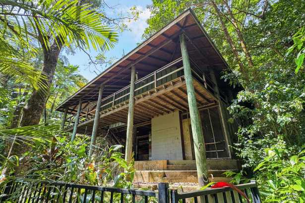 Bingil Bay Rainforest Retreat: Unleash Your Renovation Dreams!