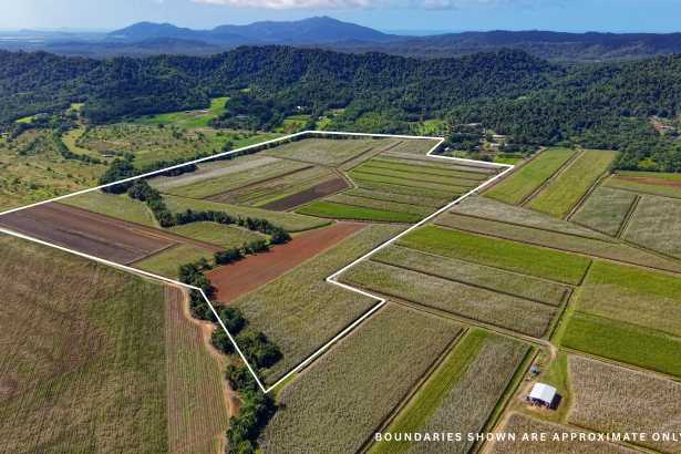 46.2ha of Prime Coastal Hinterland – Where Productive Farmland Meets Coastal Living