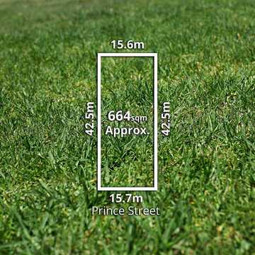 Matthew O testimonial image