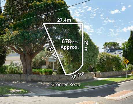 Hamze S testimonial image