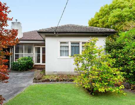 Merle testimonial image