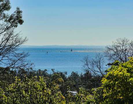 David & Di testimonial image