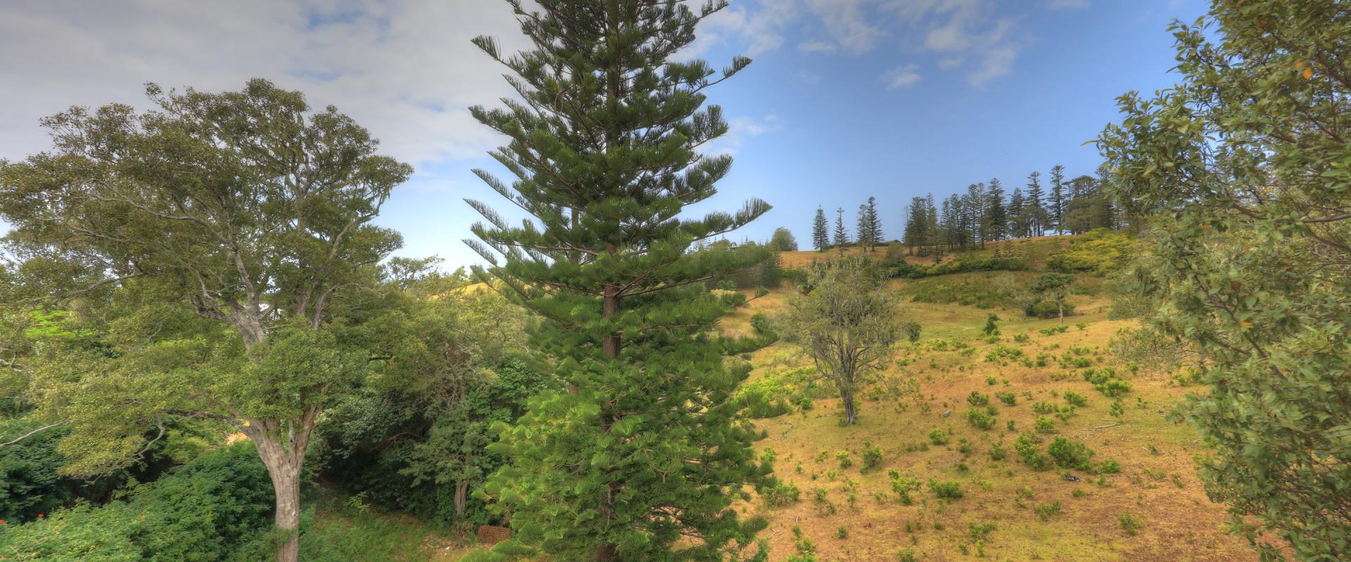 Norfolk Island Real Estate Easterly Aspect with Valley Views