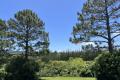 Northerly Aspect and Mountain Views Close to Town and Beach