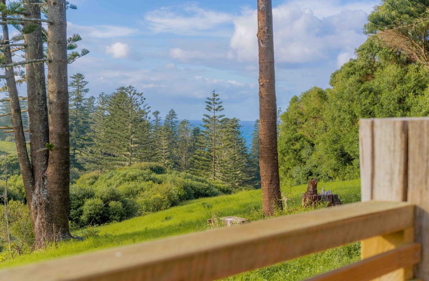 Expansive valley and ocean views from the property