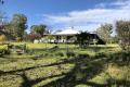 58.85 HECTARES WITH VERY COMFORTABLE THREE BEDROOM HOME.