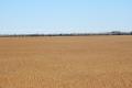 ARABLE LAND FOR SALE
