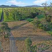Seller of a Vacant Land in Benholme
