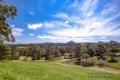 Sunny Aspect To Mt Cooroy - Room For Horse