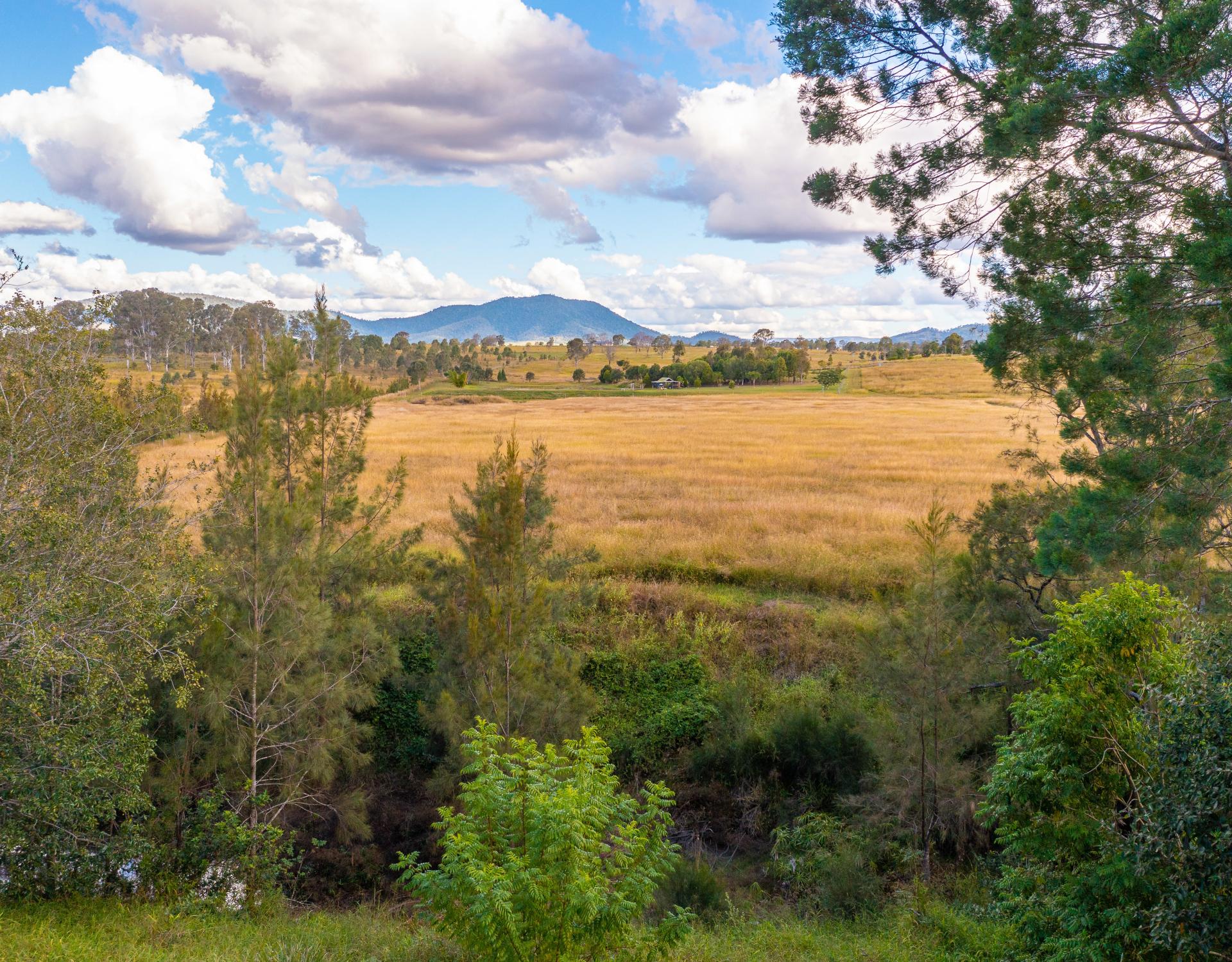 86 Acres of Rare, Rich Soil and Flat Acreage One Agency Gympie Real