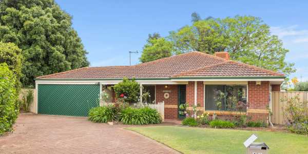 Mitchell O testimonial image