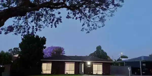 Liz Maclean testimonial image