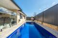 Stylish modern family living with poolside entertaining