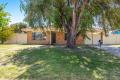 Exceptional Investment Opportunity
