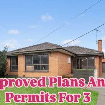 Koda H testimonial image