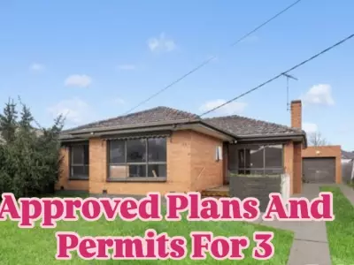 Koda H testimonial image