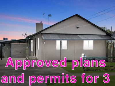 Ali  E testimonial image