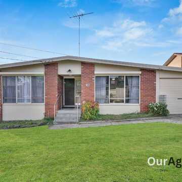 Haitham M testimonial image