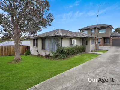 Mohammed Y testimonial image