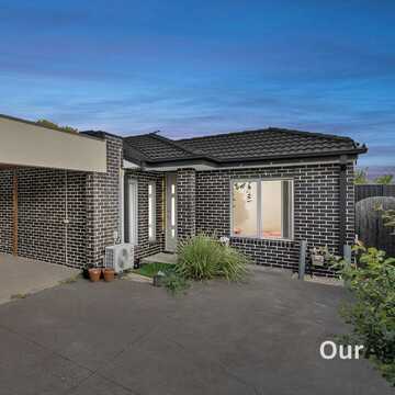 Dharmesh H testimonial image