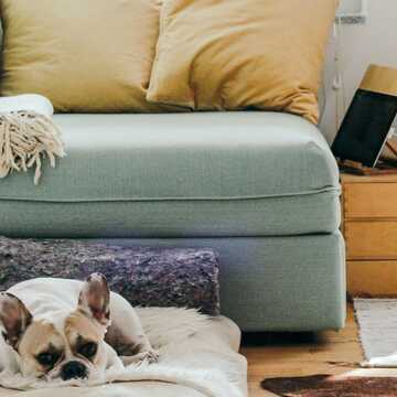 Clare C testimonial image