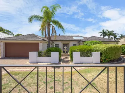 Vell Paari S testimonial image