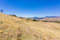 SOUND GRAZING COUNTRY IN THE TALLANGATTA VALLEY