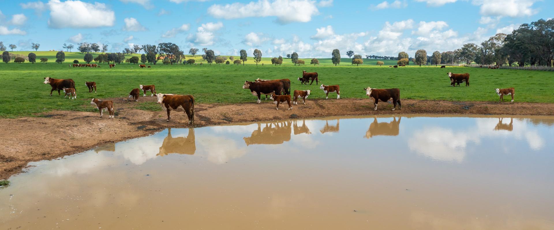 Paull & Scollard Nutrien & Nutrien Ivone Agencies VERSATILE MIXED