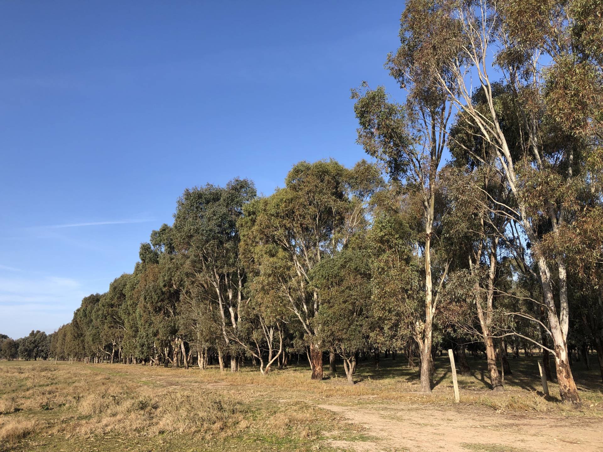 Paull & Scollard Nutrien & Nutrien Ivone Agencies RURAL LAND CLOSE TO