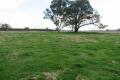 MAGNIFICENT FARMING PROPERTY SUITED TO BOTH GRAZING & CROPPING