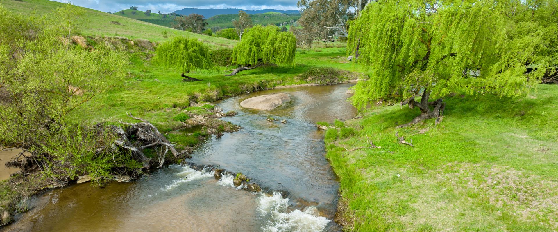 Paull & Scollard Nutrien & Nutrien Ivone Agencies BEAUTIFUL