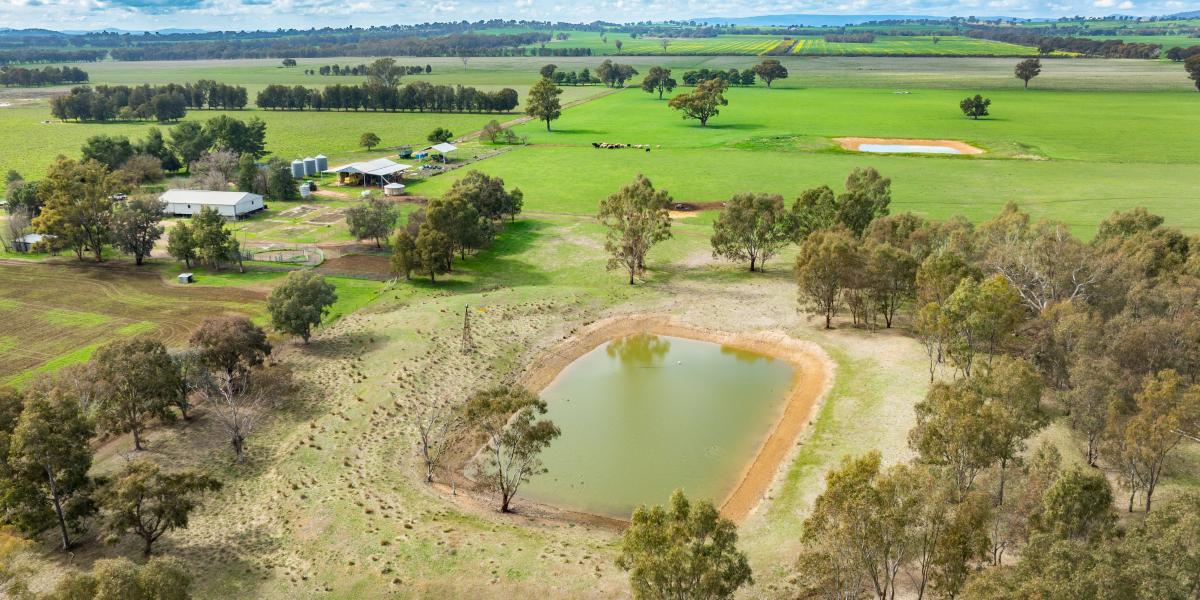 DRESS CIRCLE MIXED FARMING IN IMMACULATE CONDITION