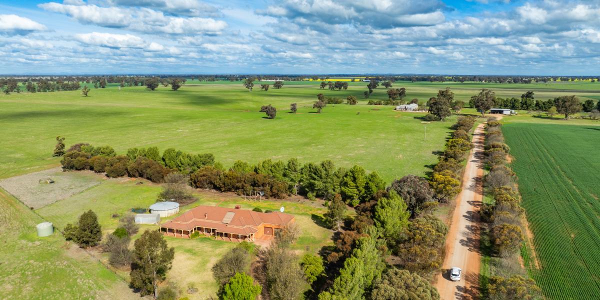 MIXED FARMING COUNTRY IN SECURE 20" RAINFALL DISTRICT
