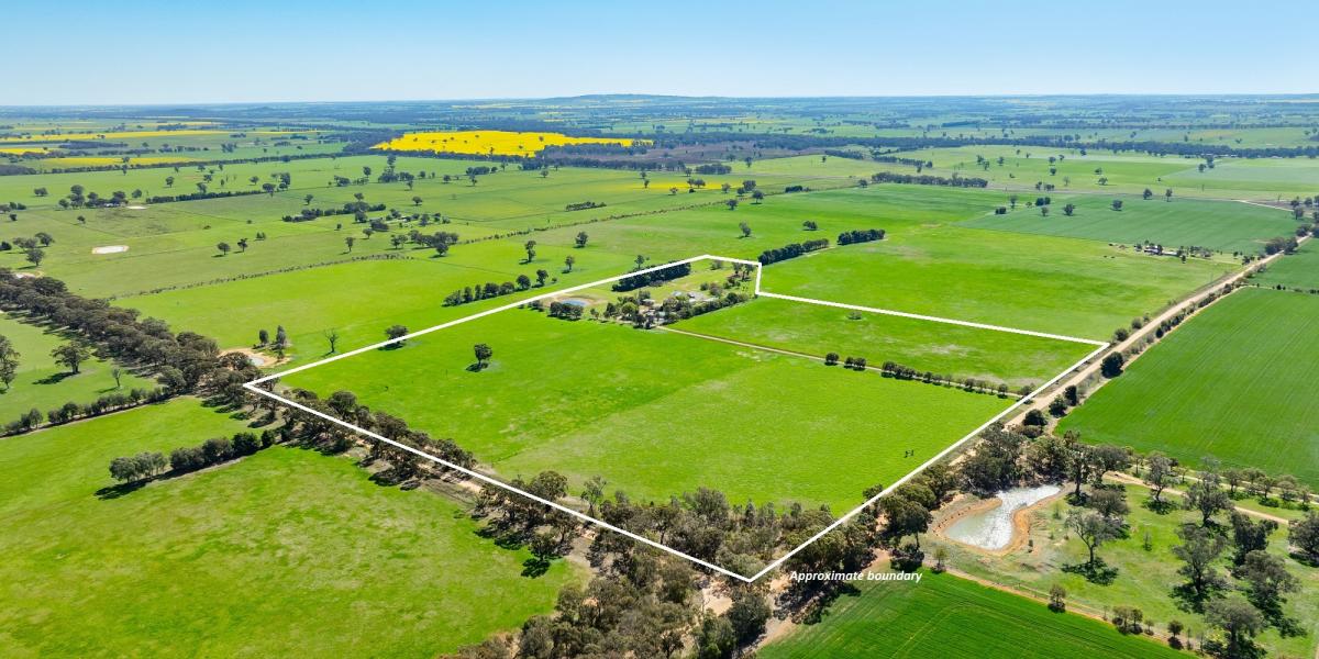 RURAL LIFESTYLE WITHIN 30 MINUTES OF ALBURY