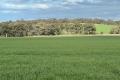 HIGHLY PRODUCTIVE MIXED FARMING PROPERTY
